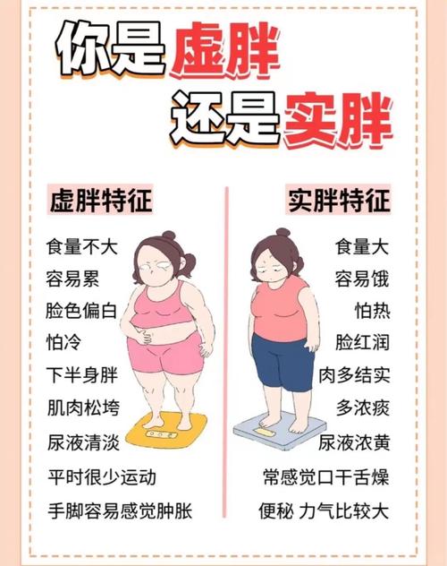 上半身胖是什么原因