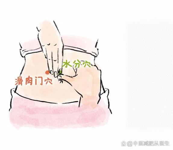 睡前按摩什么穴位可以减肥