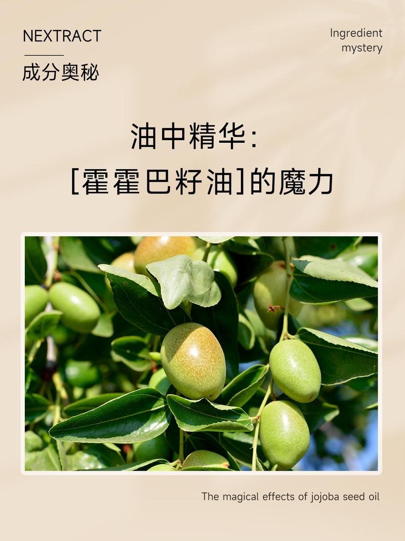 霍霍巴油是什么