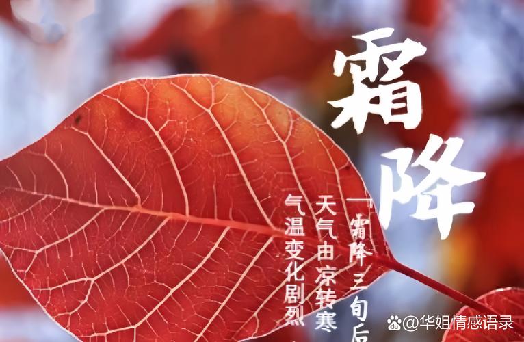 什么季节有霜