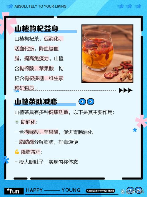 有什么泡可以减肥