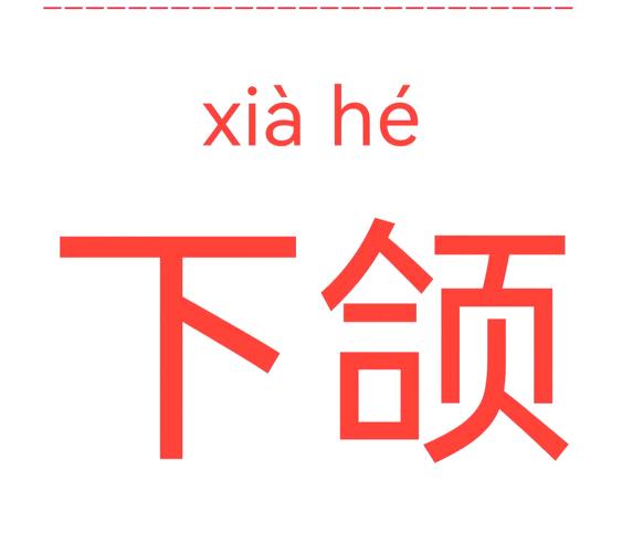 颌是什么字