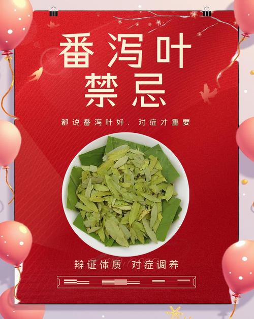 泻叶和什么配才减肥