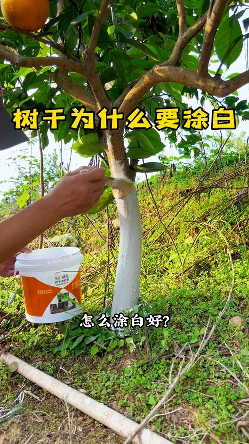 涂什么变白