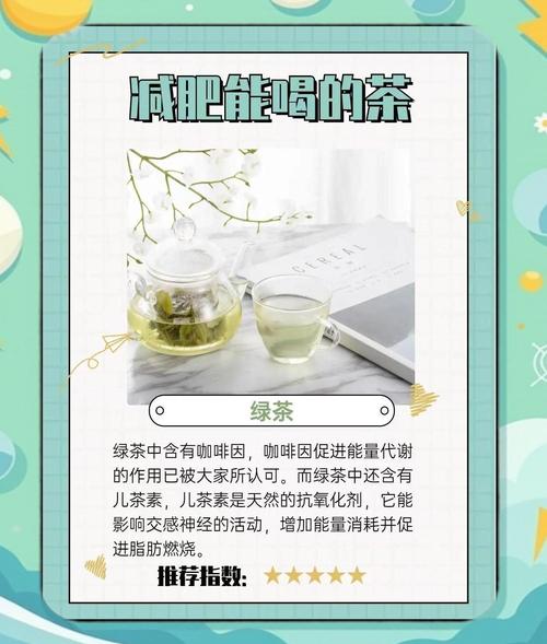 夏天喝什么茶最能减肥