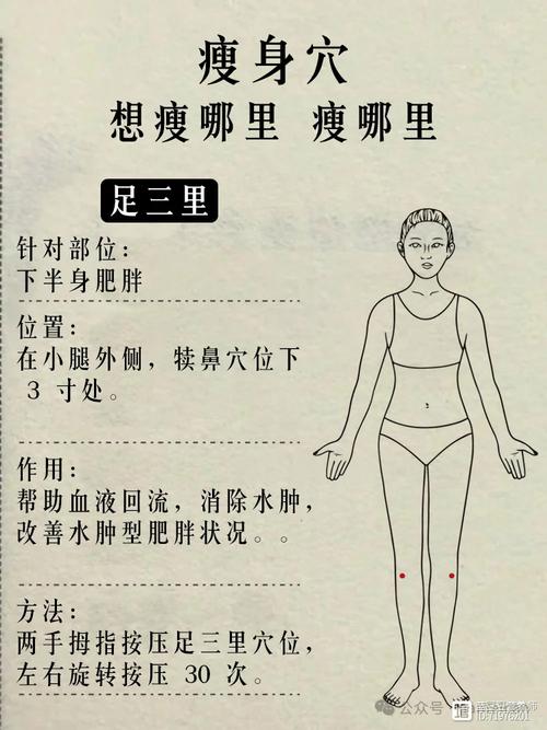 下半身减肥有什么方法