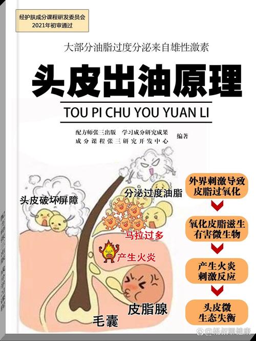 头发为什么会变油