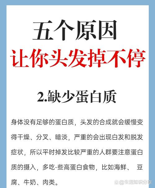 头发少缺什么维生素