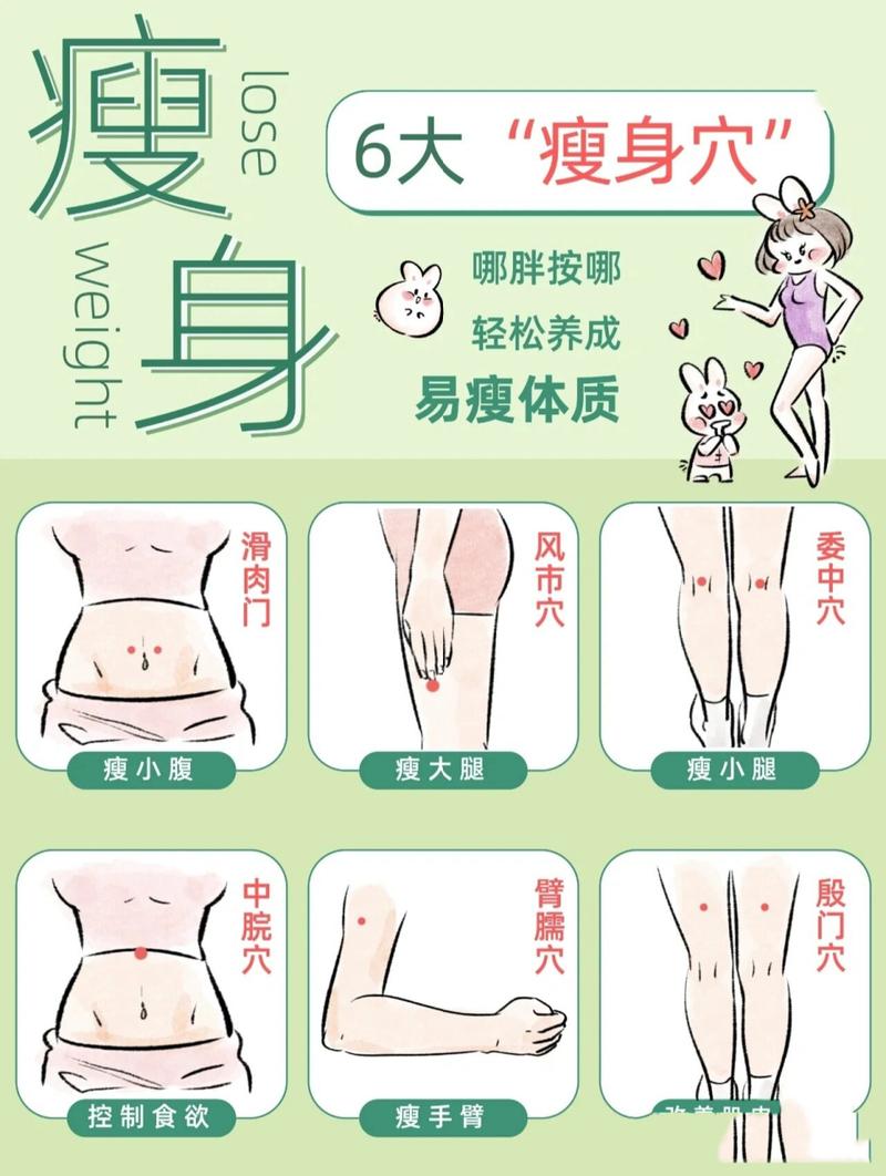 为什么拔罐减肥瘦的快