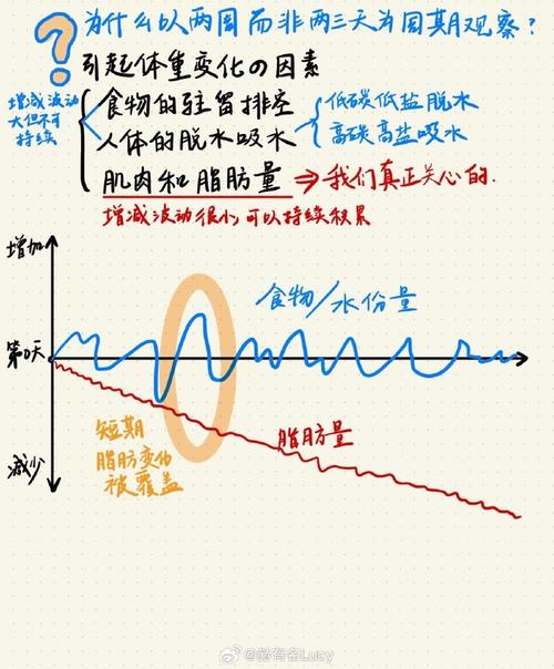 什么是减肥机制