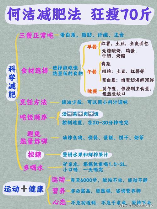 什么是减肥机制