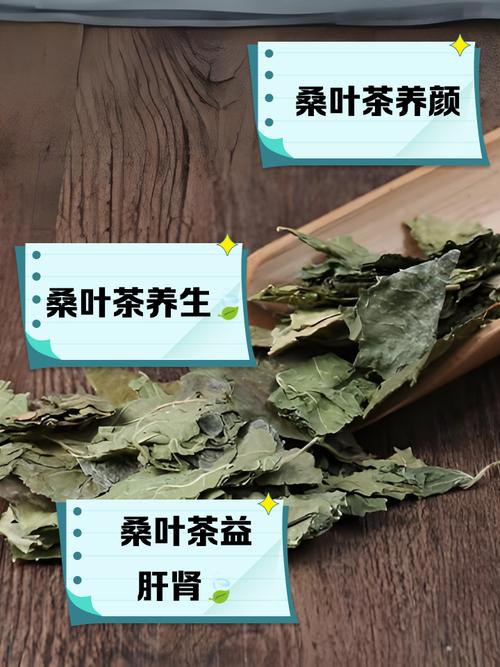 什么桑叶减肥