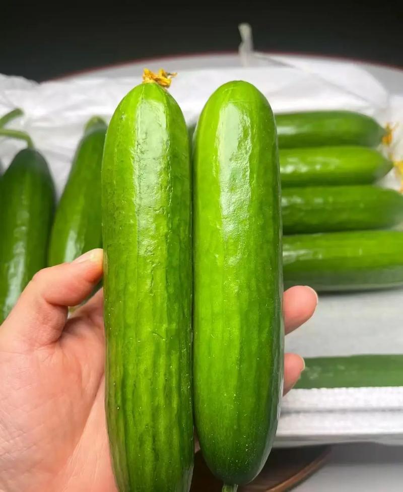 什么黄瓜减肥好呢