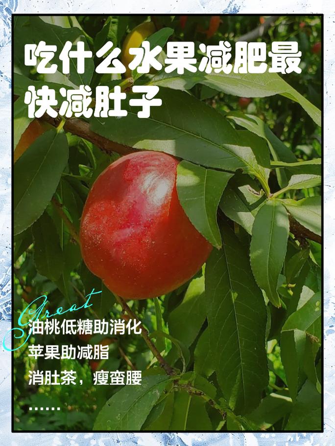 什么东西减肥最快效