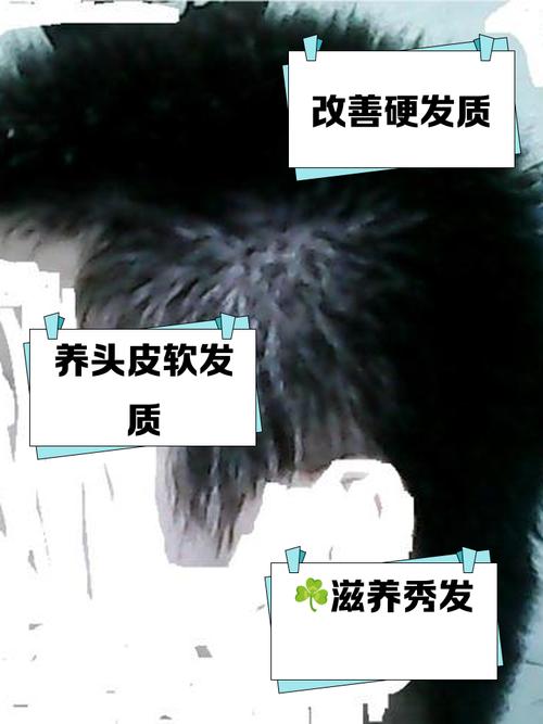 头发为什么会变软