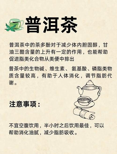 秋季喝什么茶能减肥