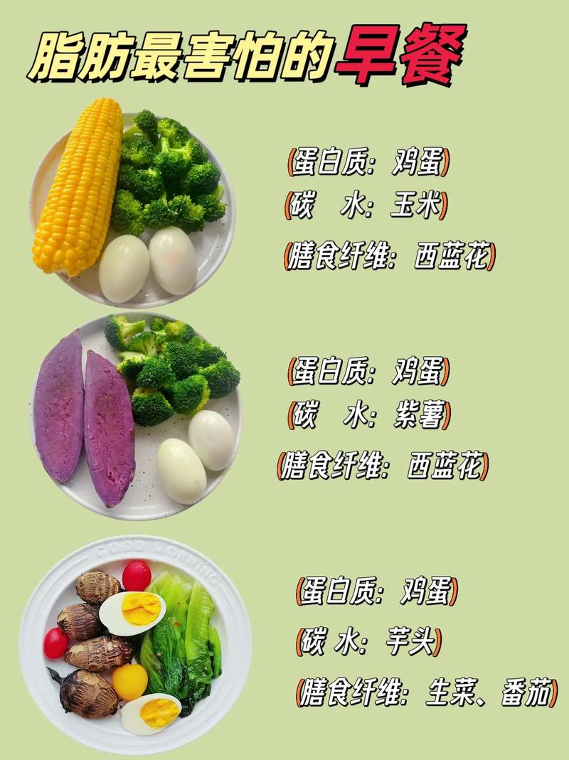 减肥的人早上吃什么