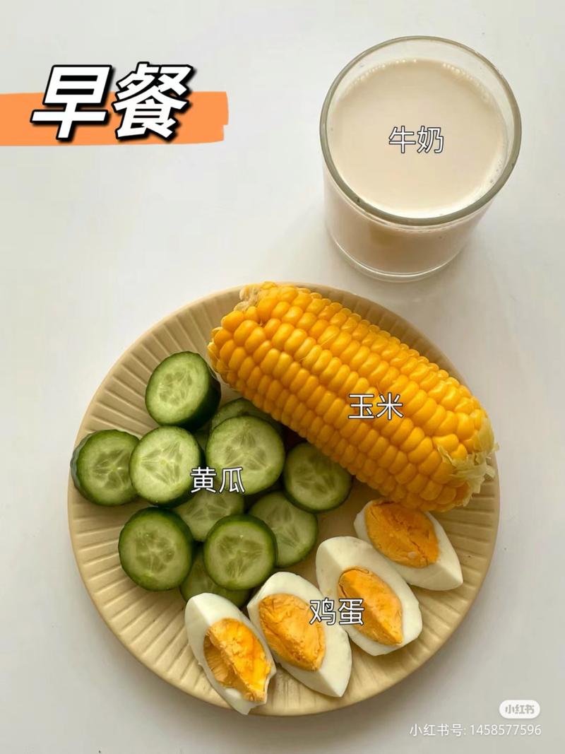 胖子减肥早上吃什么