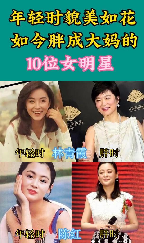 胖明星们为什么不减肥药