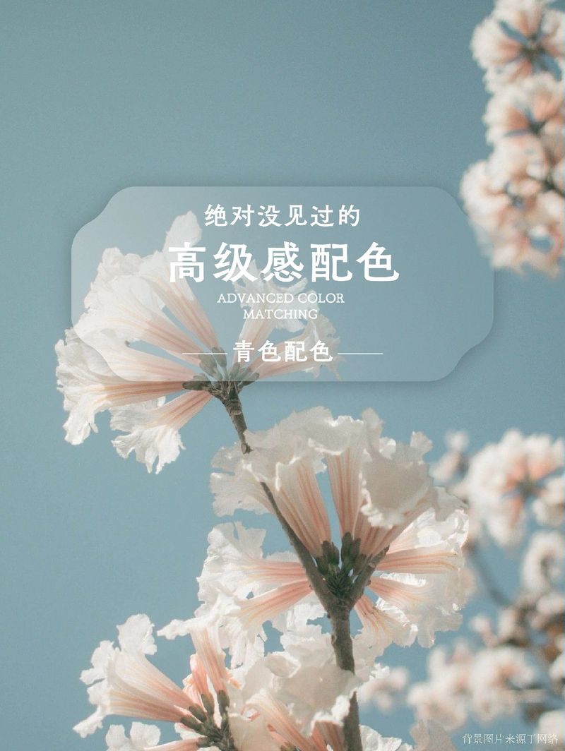 青色配什么色好看