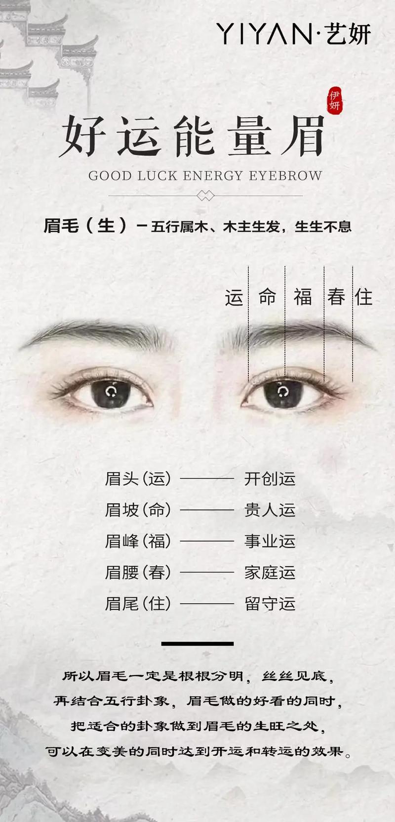 人为什么会长眉毛