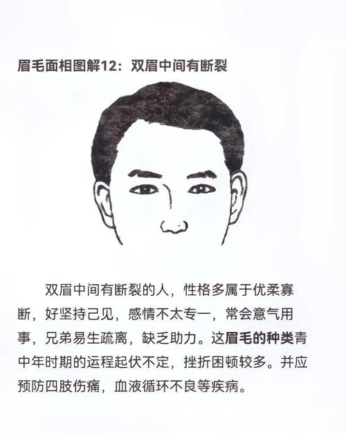 人为什么会长眉毛