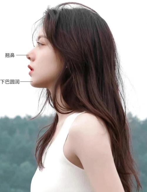 鼻梁塌适合什么发型