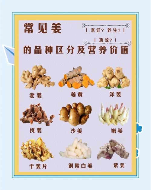 姜?也栉?什么可以减肥