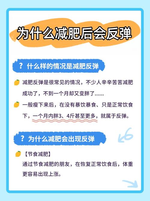 减肥之后为什么会反弹