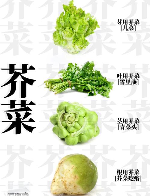 减肥餐什么吃芥末吗