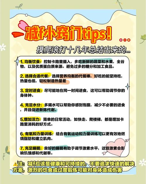 代餐减肥是什么意思