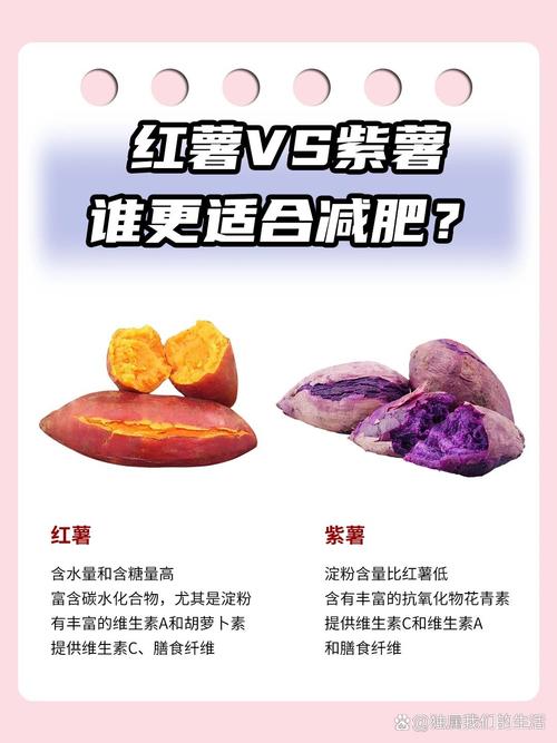 吃紫薯为什么减肥