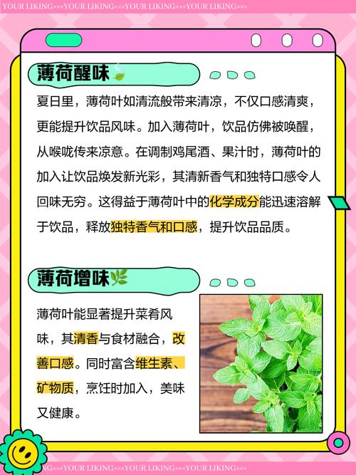 薄荷叶为什么能减肥