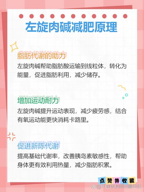 l肉碱是什么能减肥吗