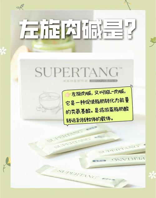 l肉碱是什么能减肥吗