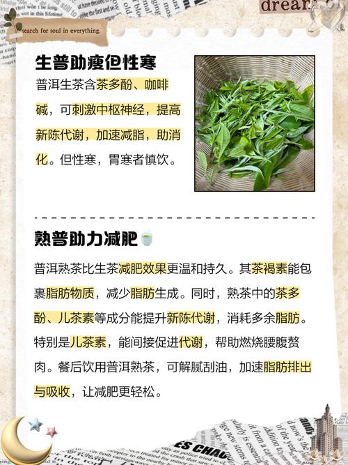 什么时候喝普洱茶减肥
