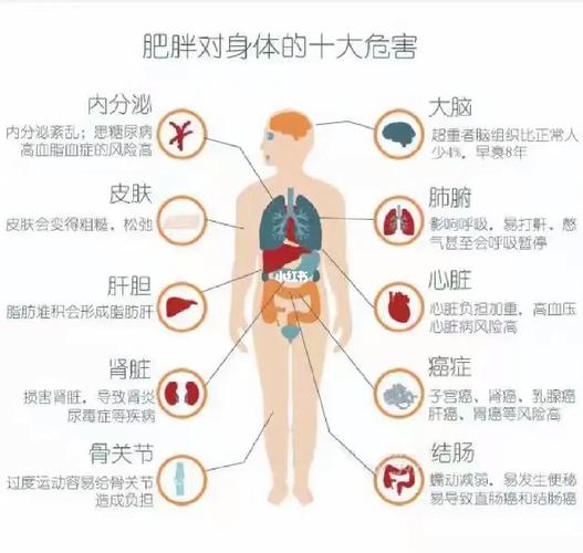 减肥看中医看什么科