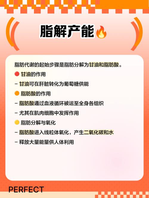 脂肪分解需要什么