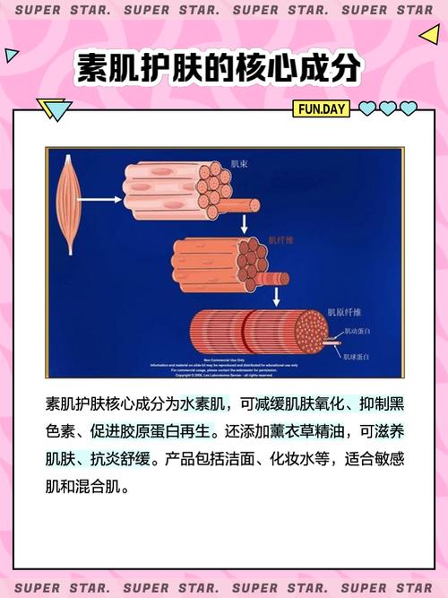 素肌是什么