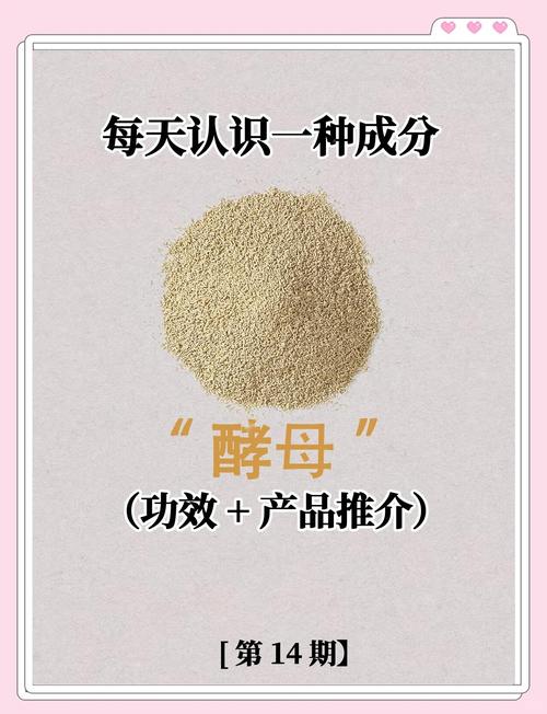 黑酵母是什么