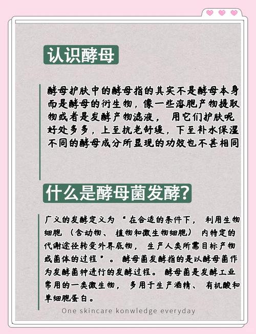 黑酵母是什么