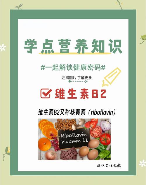 要搭配维生素b2的减肥药含有什么