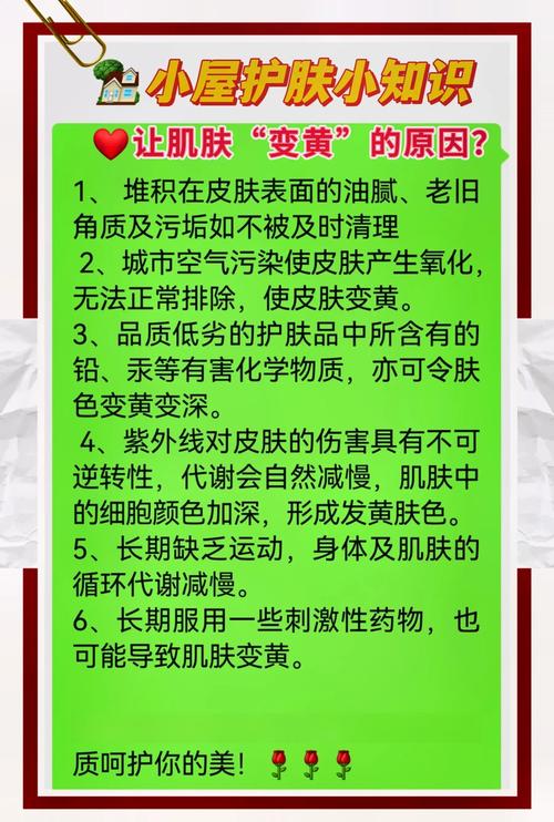 脸黄是什么原因引起的