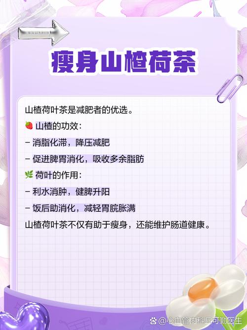 喝茶泡什么荷叶山楂能减肥吗
