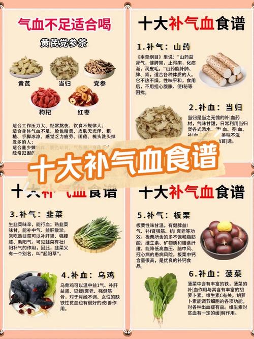 吃什么食物能补气血