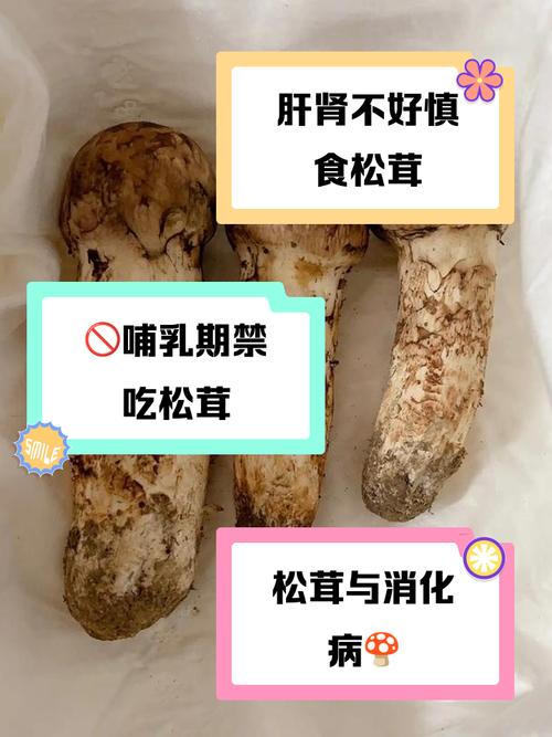 什么人不能吃松茸
