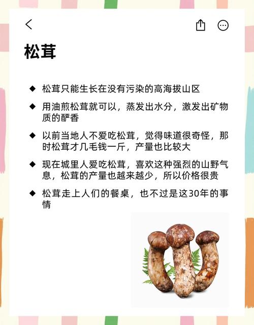 什么人不能吃松茸