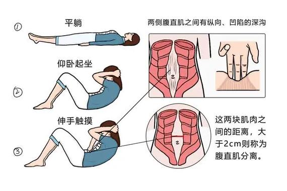 减肥期间肌肉松弛的原因是什么