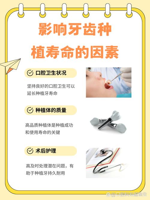 种植牙齿是什么意思