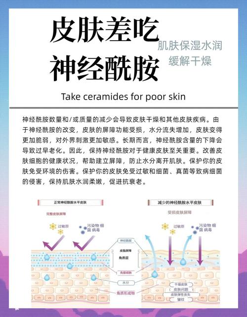 神经酰胺有什么作用